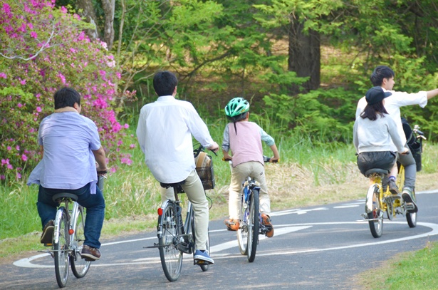 桜の鑑賞と合わせて、サイクリング(レンタサイクル大人520円/1日)を楽しむのもおすすめ！/国営昭和記念公園