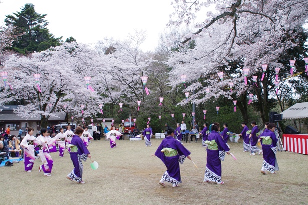 昨年の「滝山城跡桜まつり」では歌謡ショーや甘酒の振る舞いが行われた/滝山公園