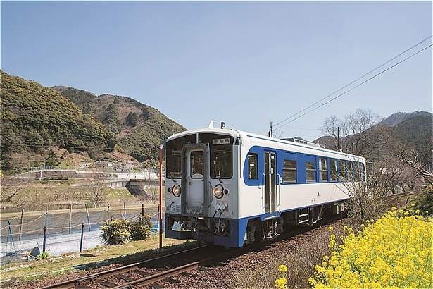 JR四国『鉄道ホビートレイン』後ろ姿