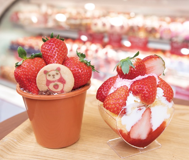 ｢盆栽Cake イチゴティラミス(左)」(1200円～)、「ハンティングショートケーキ(右)」(860円～) / STRAWBERRY HUNTING(名古屋市中区)