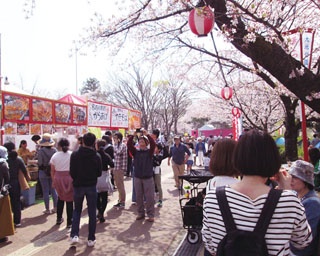 愛知・東海市で桜まつり開催！光と音で楽しむ、夜桜のライトアップに注目!!
