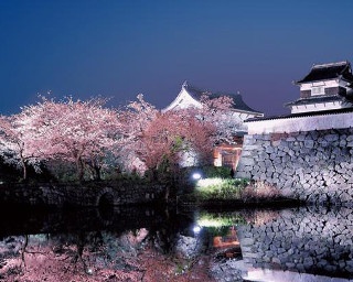 春のおでかけシーズン到来！九州で4月に開催される注目イベント7選
