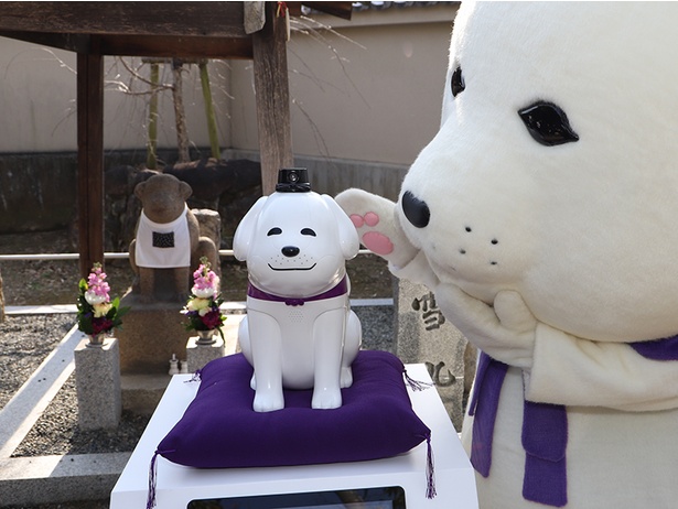 奈良県王寺町の公式キャラクター 雪丸 と対話できる Yukimaru Talk 誕生 ウォーカープラス