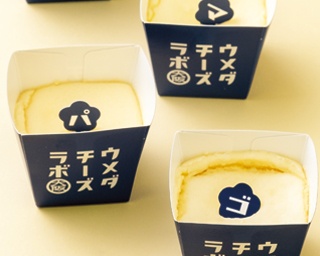 進化系チーズケーキを編集部が食べ比べ！関西の個性派チーズケーキランキングベスト5