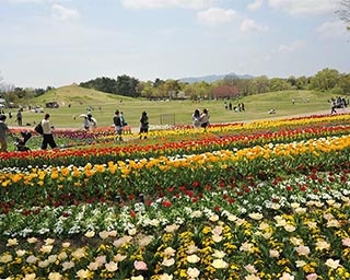 大自然の中で春を満喫！香川県で「春らんまんフェスタ2019」開催