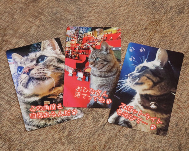 買物をすると、名刺大サイズの手作りカードがもらえる / 足助牛乳(愛知県豊田市)