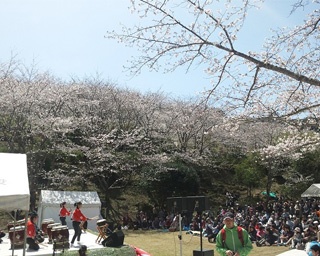 県内有数の桜の名所・鹿児島県いちき串木野市で「第17回さくら祭り」開催