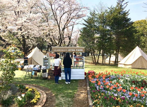 春うららかな公園の中でラグジュアリーなアウトドア体験ができる