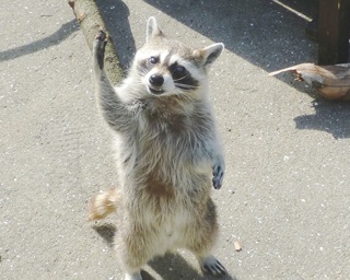 子供だけでなく大人も楽しい！この春訪れたい長崎の動物園3選