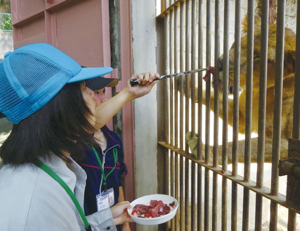 大牟田市動物園 / 毎月開催！ 「一日飼育員体験」