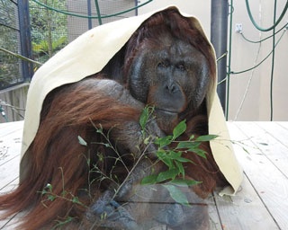 子供だけでなく大人も楽しい！この春訪れたい福岡の動物園6選
