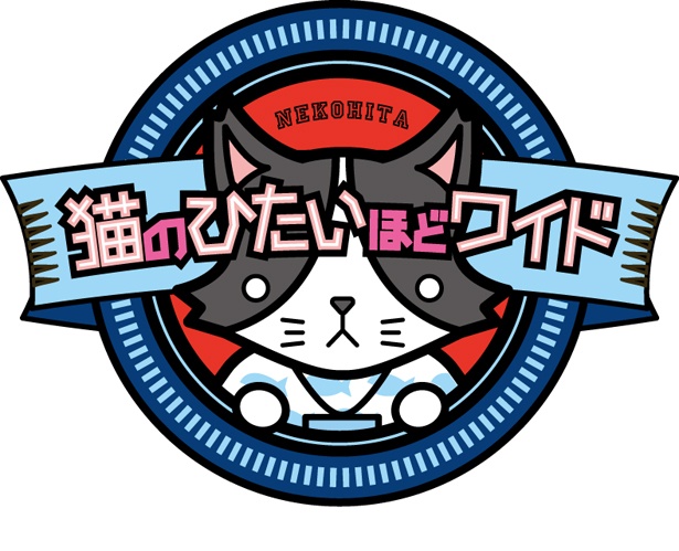 「猫のひたいほどワイド」は4月から4年目に突入する