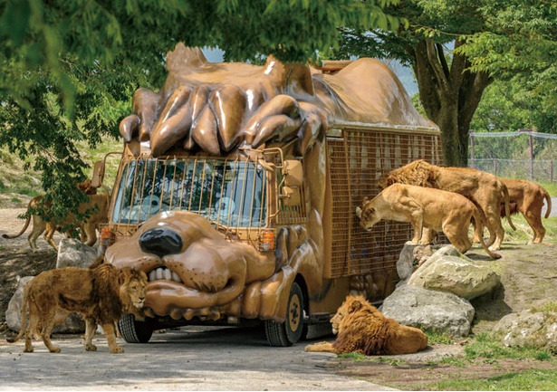 九州自然動物公園 アフリカンサファリ / 大草原に700頭の動物を解放！ジャングルを車で探検しよう