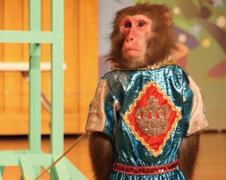 子供だけでなく大人も楽しい！この春訪れたい熊本・鹿児島の動物園3選