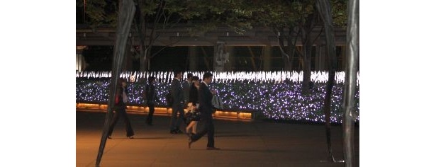 白色LEDを中心に展開し、“雪”や“樹氷”をイメージしたイルミネーション