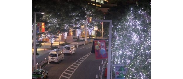 「六本木けやき坂通りの夜景