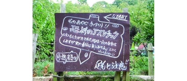 手作り感満点のアスレチックあり！