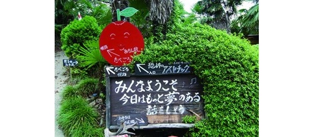 山のおやじの名言がズラリ