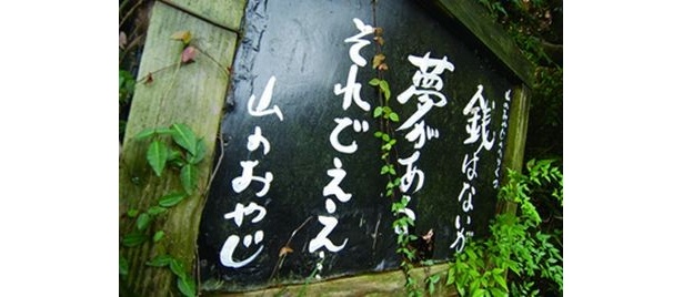 園内には夢がいっぱい！
