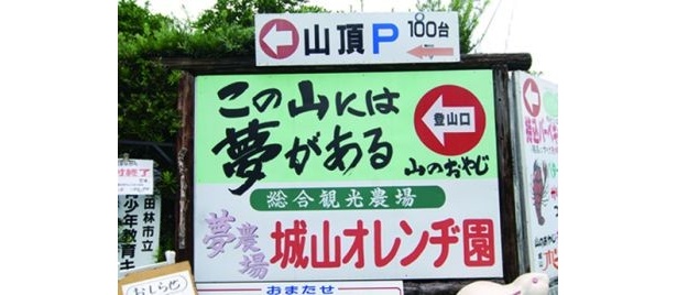 この山には夢がある！