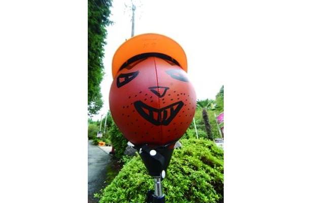 「城山オレンヂ園」にはアトラクションがいっぱいだよ！