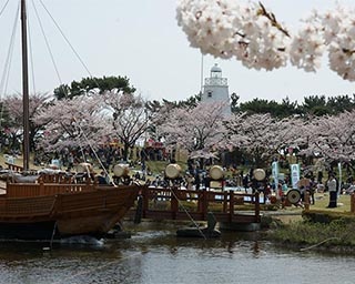 桜の名所でお花見！山形県酒田市で「日和山桜まつり」開催