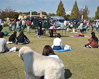 愛犬と一緒に楽しめるマルシェ！岡山県岡山市で「しっぽいち vol.9」開催