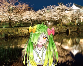 絶景桜を見るならココ！博多弁VTuber・舞鶴よかとがおススメする九州の桜名所8選