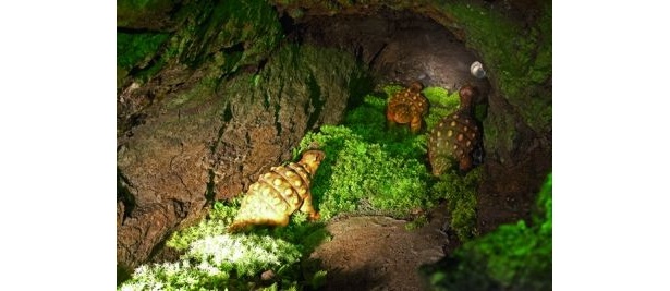アンキロサウルス