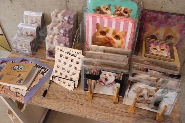 ホイちゃんグッズがズラリ！ポストカードは種類が豊富なので何枚も買っちゃいそう