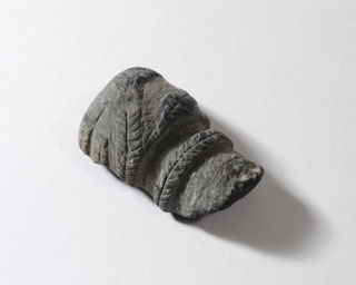 紀伊半島の歴史を紹介！和歌山県立紀伊風土記の丘で春期企画展開催中