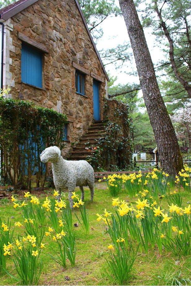 今年は周年 宮崎県宮崎市で恒例 英国式庭園 春のフラワーガーデンショー ウォーカープラス