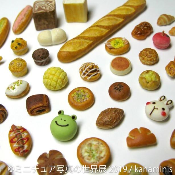 おいしそうなパンのなかにカエルやウサギがぴょっこり