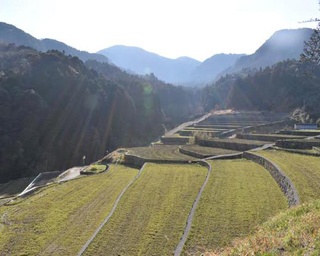 福岡市から90分！美しい日本の原風景が広がる東峰村に行ってきた