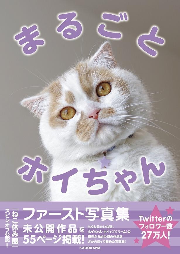 Snsでフォロワー急増中の人気猫の1st写真集 まるごとホイちゃん が4月25日 木 発売 ウォーカープラス