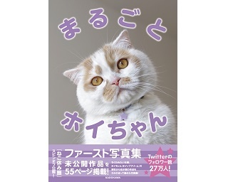 SNSでフォロワー急増中の人気猫の1st写真集「まるごとホイちゃん」が4月25日(木)発売