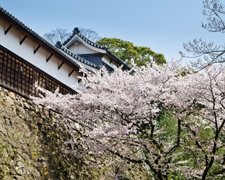 今週末の予定はコレで決まり！週末イベント5選・福岡県編[2019年4月5日(金)～7日(日)]