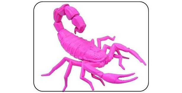 画像3 7 超キモカッコイイ 昆虫型消しゴムを手作りできる玩具が発売 ウォーカープラス