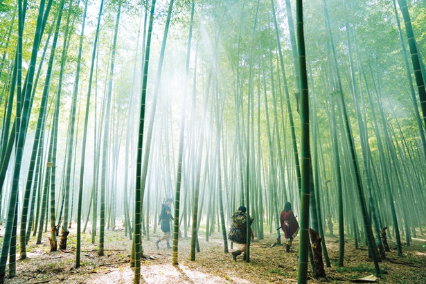 映画「キングダム」の劇中シーン