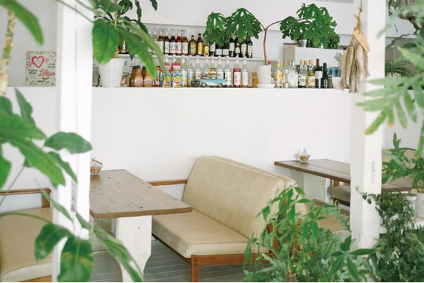 cafe ＆ casual restaurant sunflower / 真っ白な空間に緑の観葉植物が映え、リゾートの雰囲気が漂う