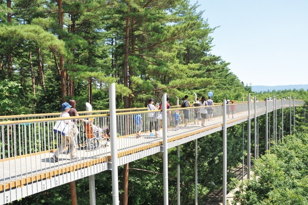 全長640m、高さ最大9mの空中回廊で気持ちよく散歩しよう