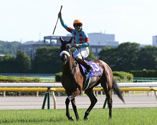第80回オークス記念や企画展盛りだくさん、JRA競馬博物館の春イベント14選！