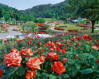 山形県で遊ぶなら！山形県の人気おでかけスポット5選
