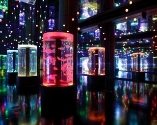 東京で遊ぶなら！東京都の人気おでかけスポット7選