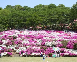 福井県で遊ぶなら！福井県の人気おでかけスポット5選