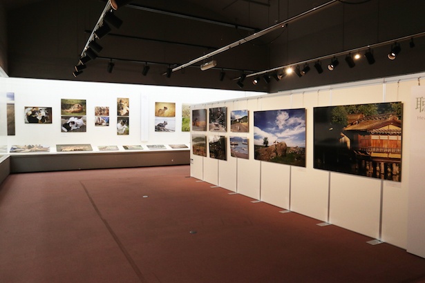 【写真を見る】写真展では80点以上の作品が会場に並ぶ
