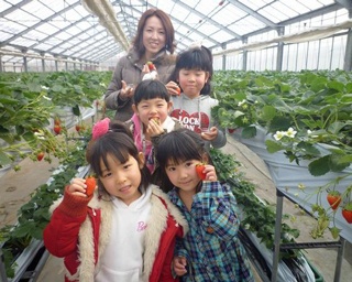 GWに行きたい！1日中遊べるいちご狩り農園【関東・東海・関西】