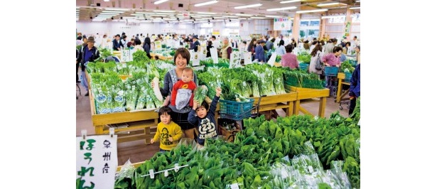 農家から直接仕入れる「野菜直売所」が今アツい！