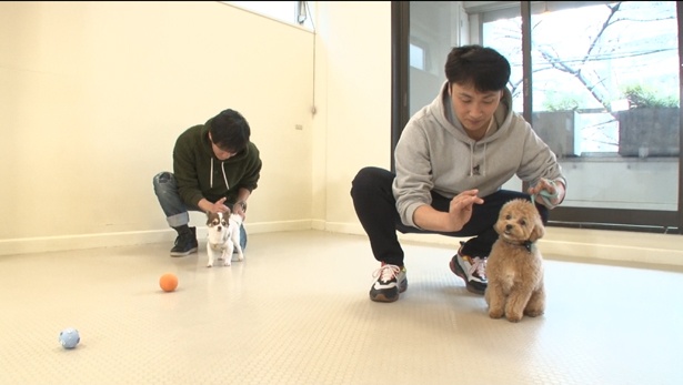 「だるまさんが転んだ」「におい当てクイズ」など、さまざまな勝負が展開