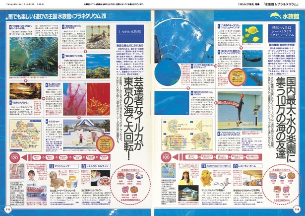 特集「水族館＆プラネタリウム」
